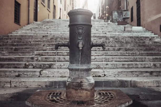 Nasone