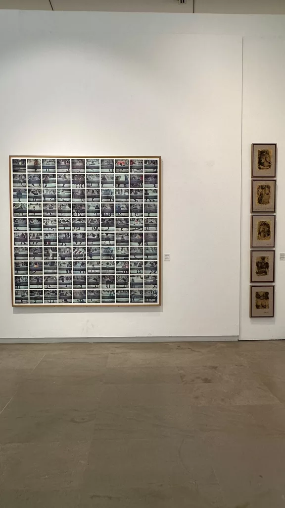 Museo Bilotti photo @ Carlo Alvise Crispolti