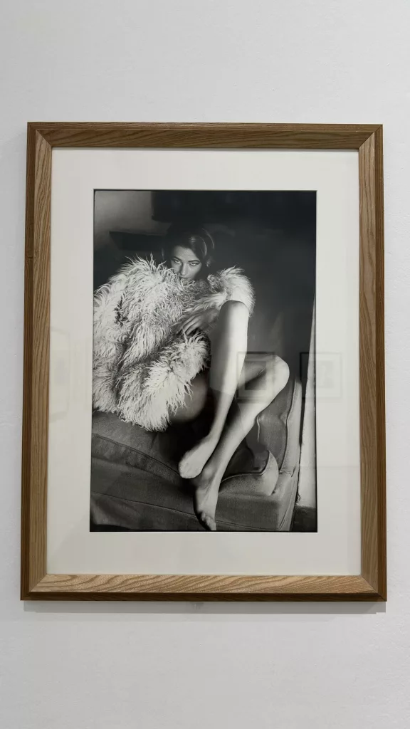 Museo Bilotti photo @ Carlo Alvise Crispolti